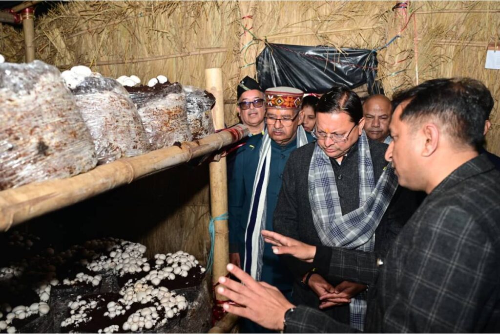 mushroom-village-buggawala-haridwar