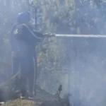 new-tehri-fire-department-fire-control